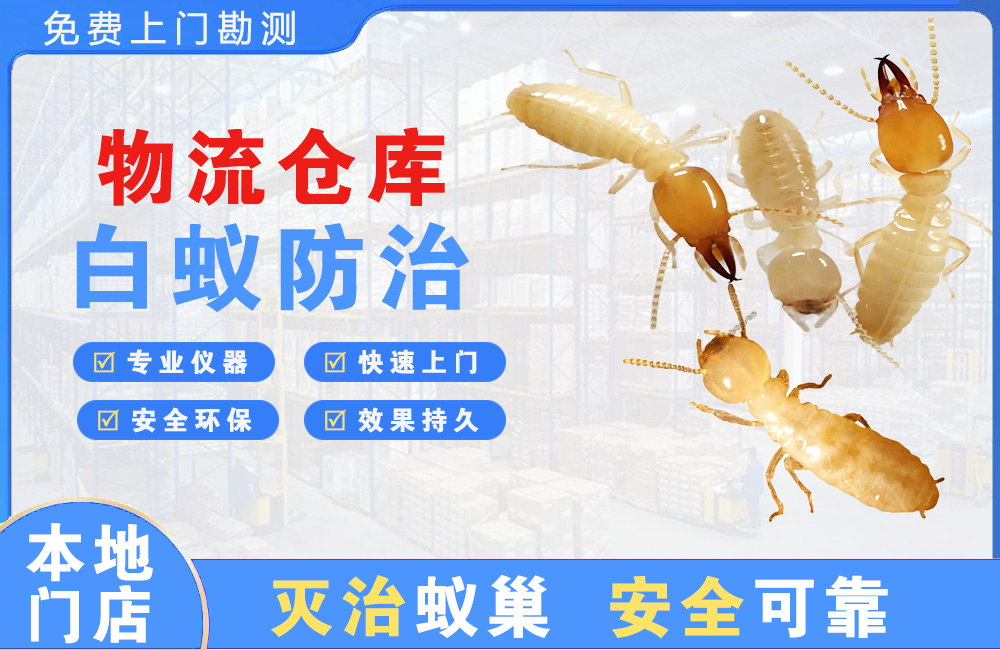 资阳物流仓库白蚁防治